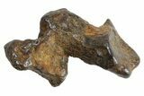 Sericho Pallasite Meteorite Metal Skeletons - Kenya - Photo 2